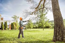 Best Firewood Processing and Delivery  in Westville, NJ